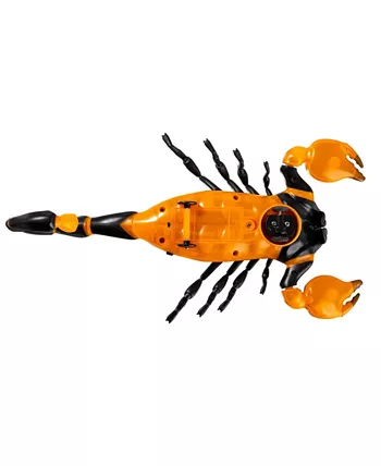 Discovery Kids RC Scorpion  Glow In The Dark Body  Wireless Remote-Control Toy for Kids