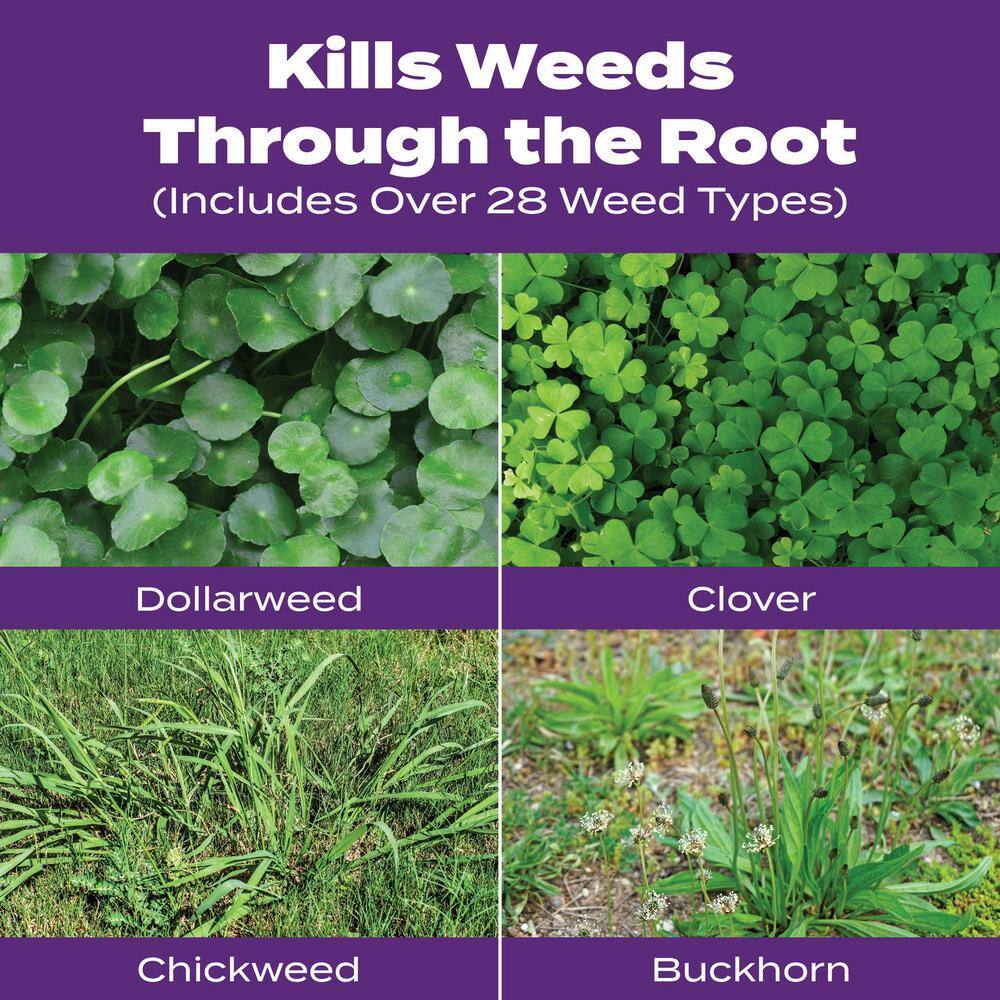 Scotts Turf Builder Bonus S 17.24 lbs. 5000 sq. ft. Florida Weed and Feed Weed Killer Plus Fertilizer 21030-1