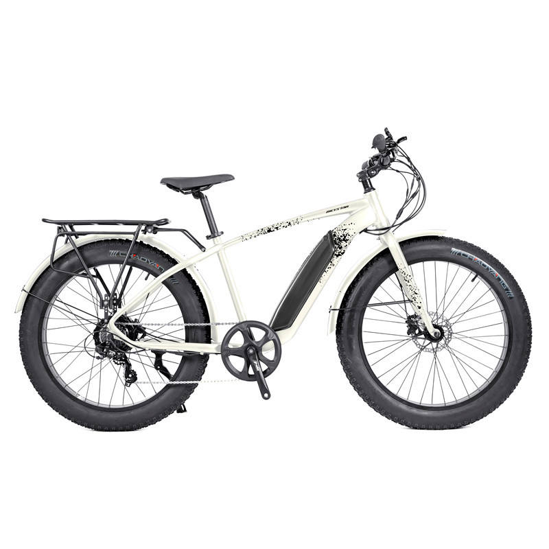 High Powerful 48V Lithium Battery and 500W 750W 1000W Mid Drive Motor Fat Tire Mountain Electric Bike