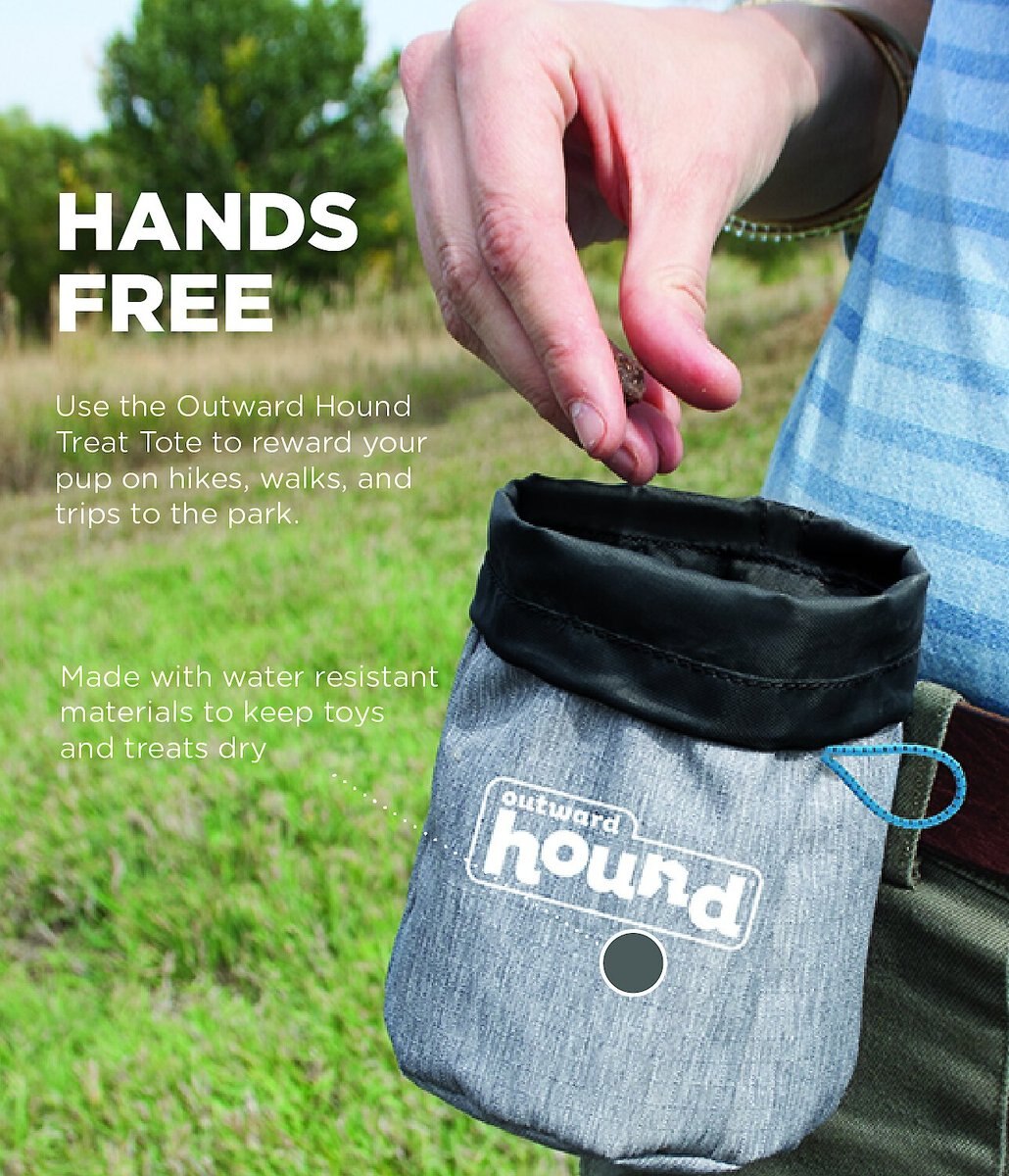 Outward Hound Treat Tote