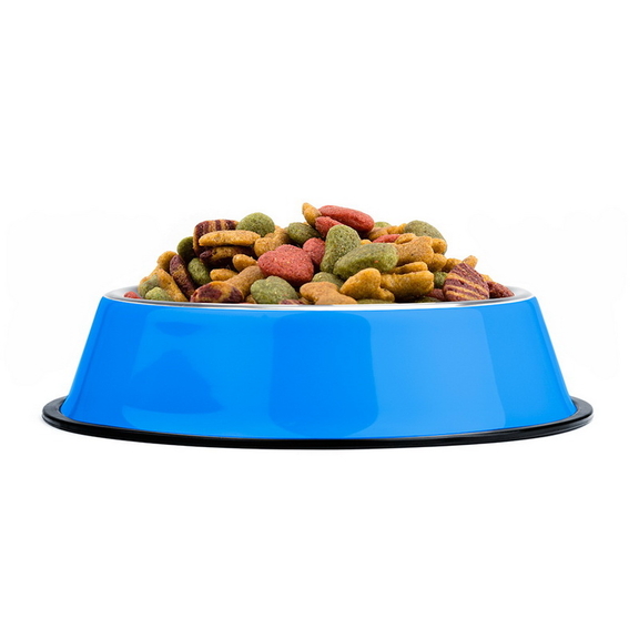 Brybelly 40oz. Blue Stainless Steel Dog Bowl