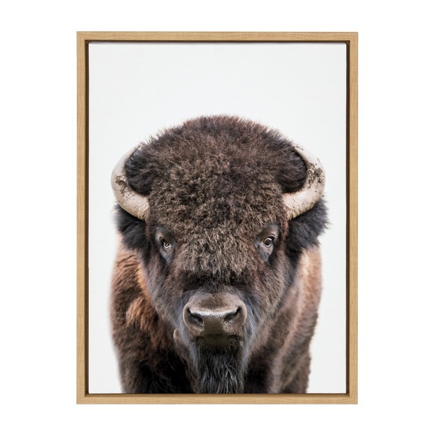 X 24 quot Sylvie Bison Portrait Framed Canvas By Amy Peterson Art Studio Natural Kate amp Laurel All Things Decor