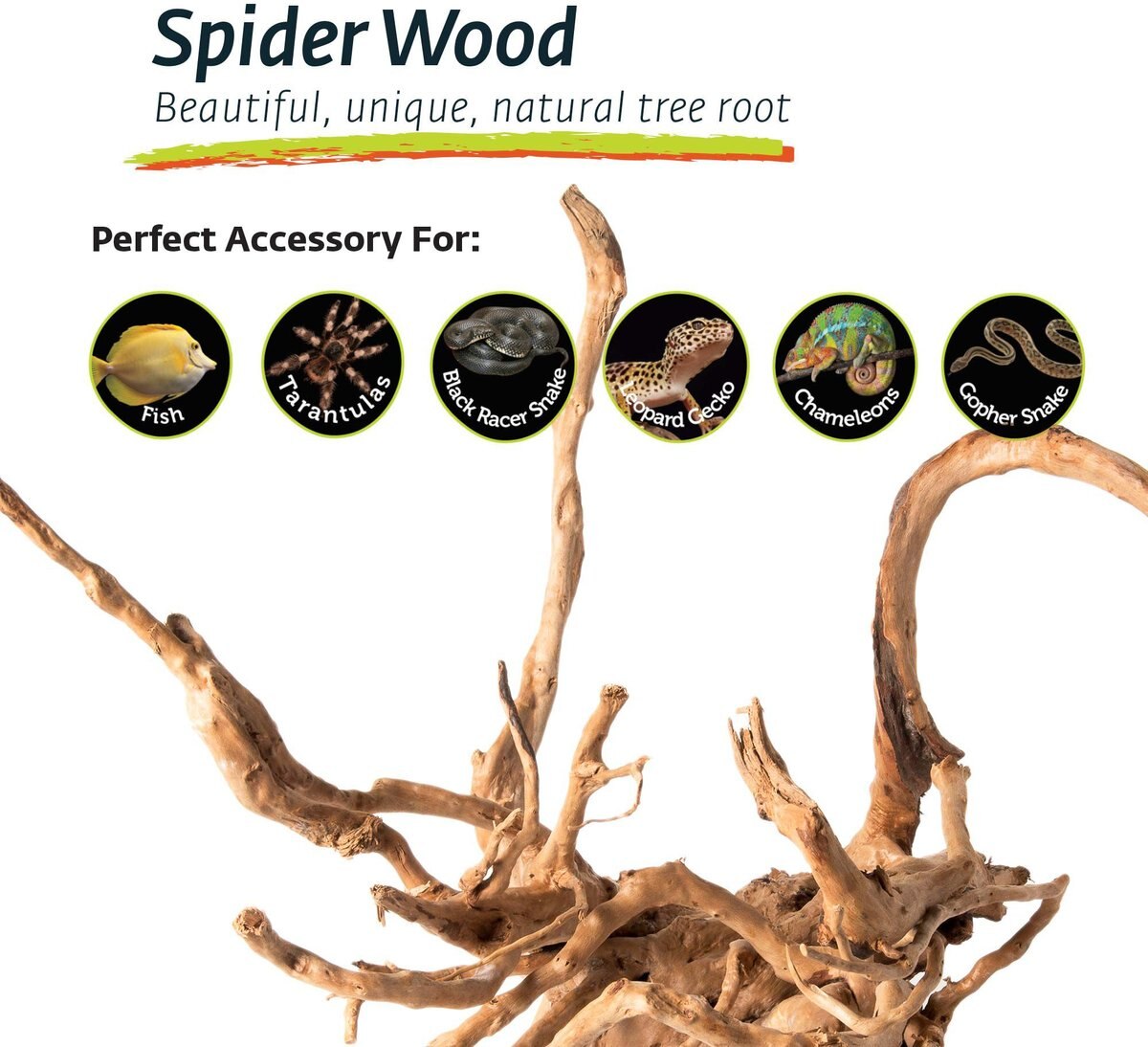 Galapagos Spiderwood Aquarium and Terrarium Accessory， Natural