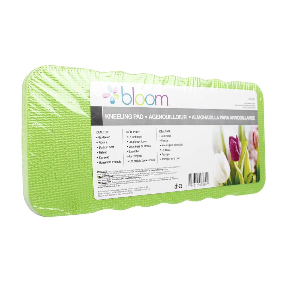 Bloom 16