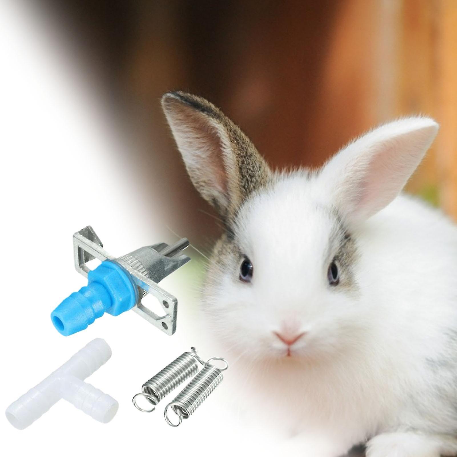 Miman 3 Sets Drinking Water Mouth Automatic Double Springs Pet Supplies Bunny Drinker Nipple Dispenser For Rabbit