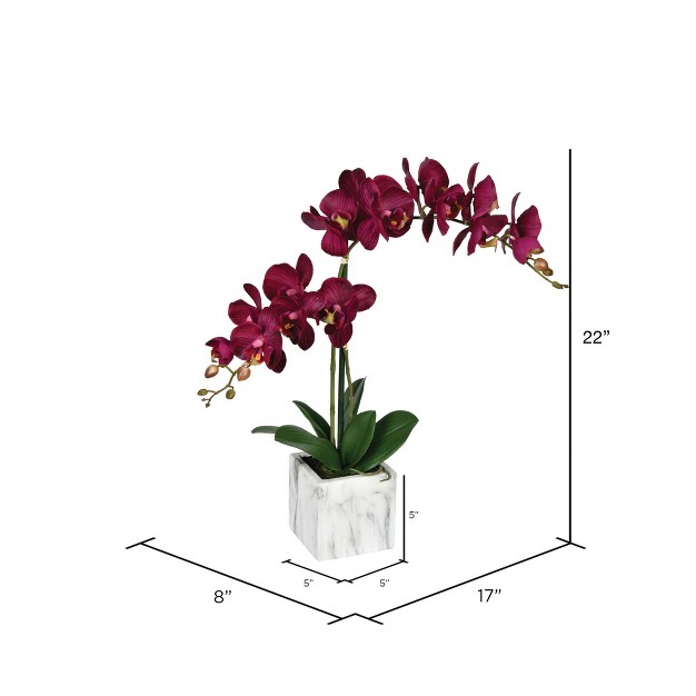 Artificial Potted Real Touch Phalaenopsis