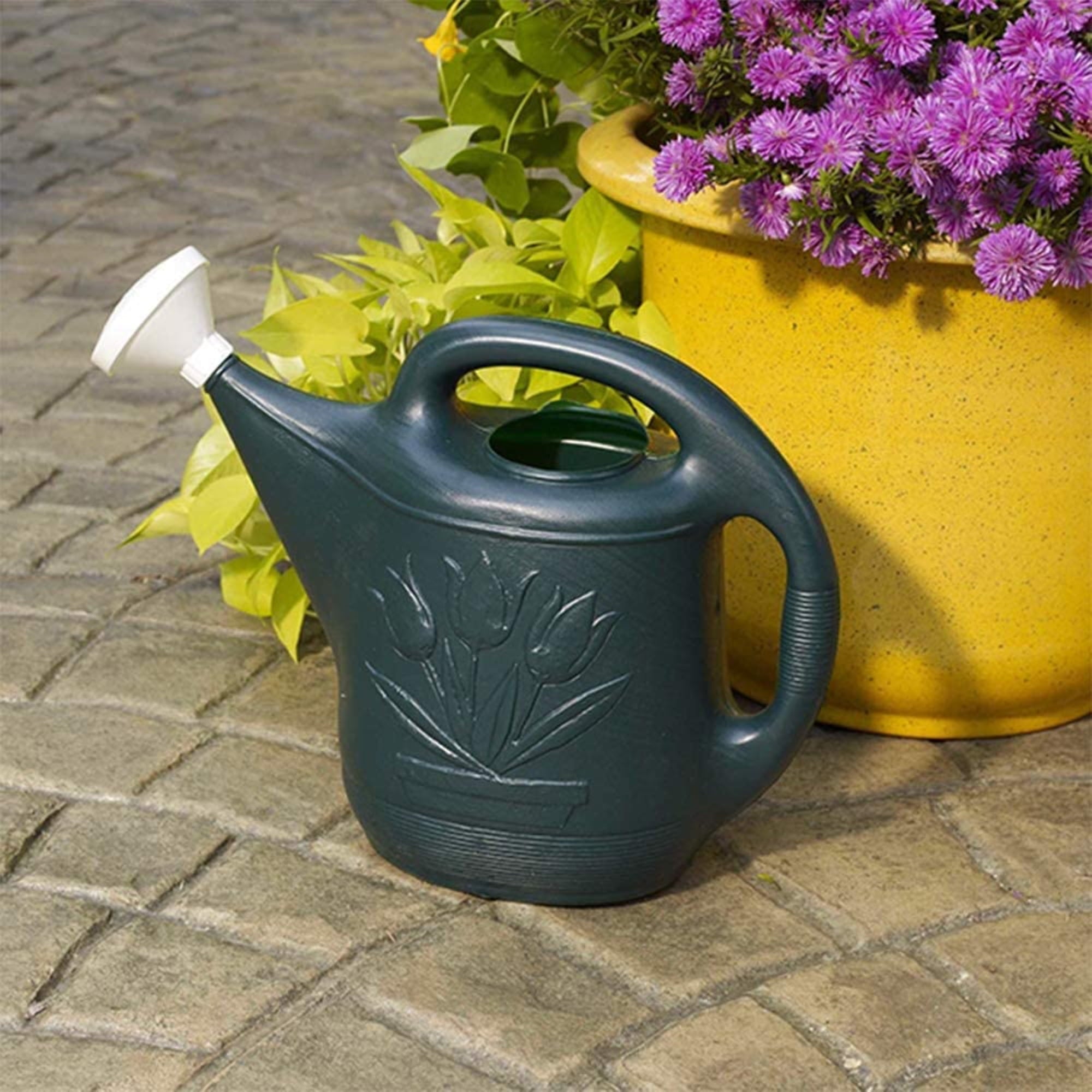 NOVELTY MFG CO Watering Can, Green Plastic, 2-Gals. 30301