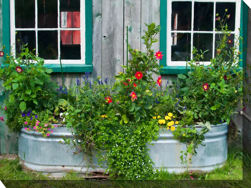 Tub Of Flowers Patio Canvas Outdoor-Indoor Wall Art