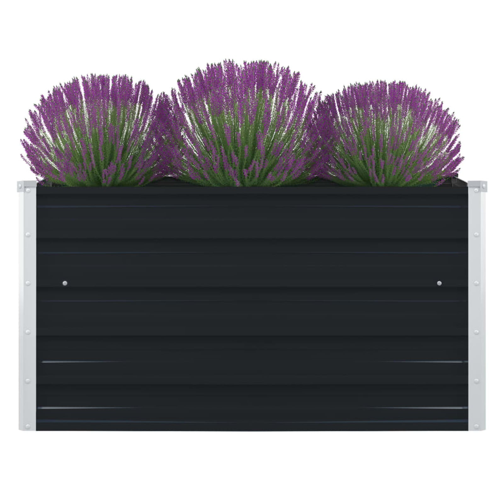 Carevas Raised Garden Bed 39.4"x39.4"x17.7" Galvanized Steel Anthracite