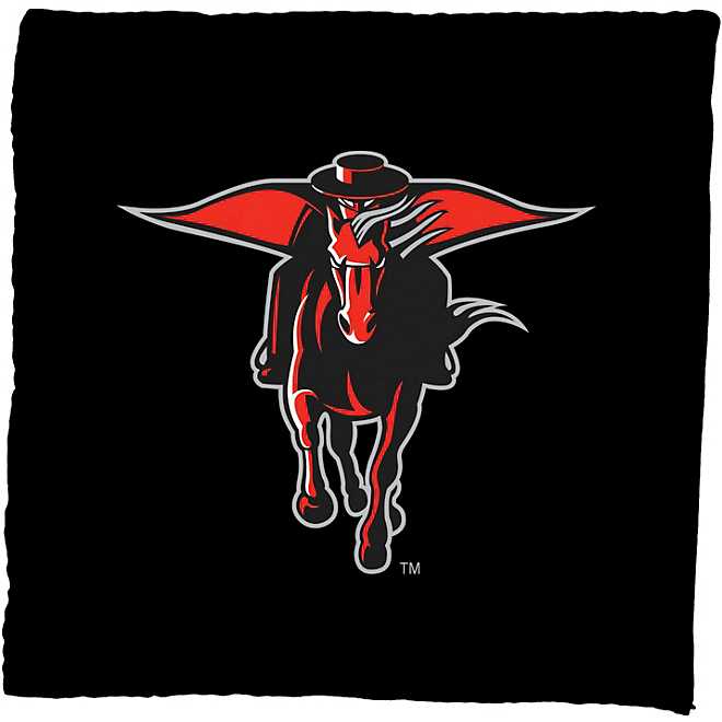 Victory Tailgate Texas Tech University Bean Bag Toss Game