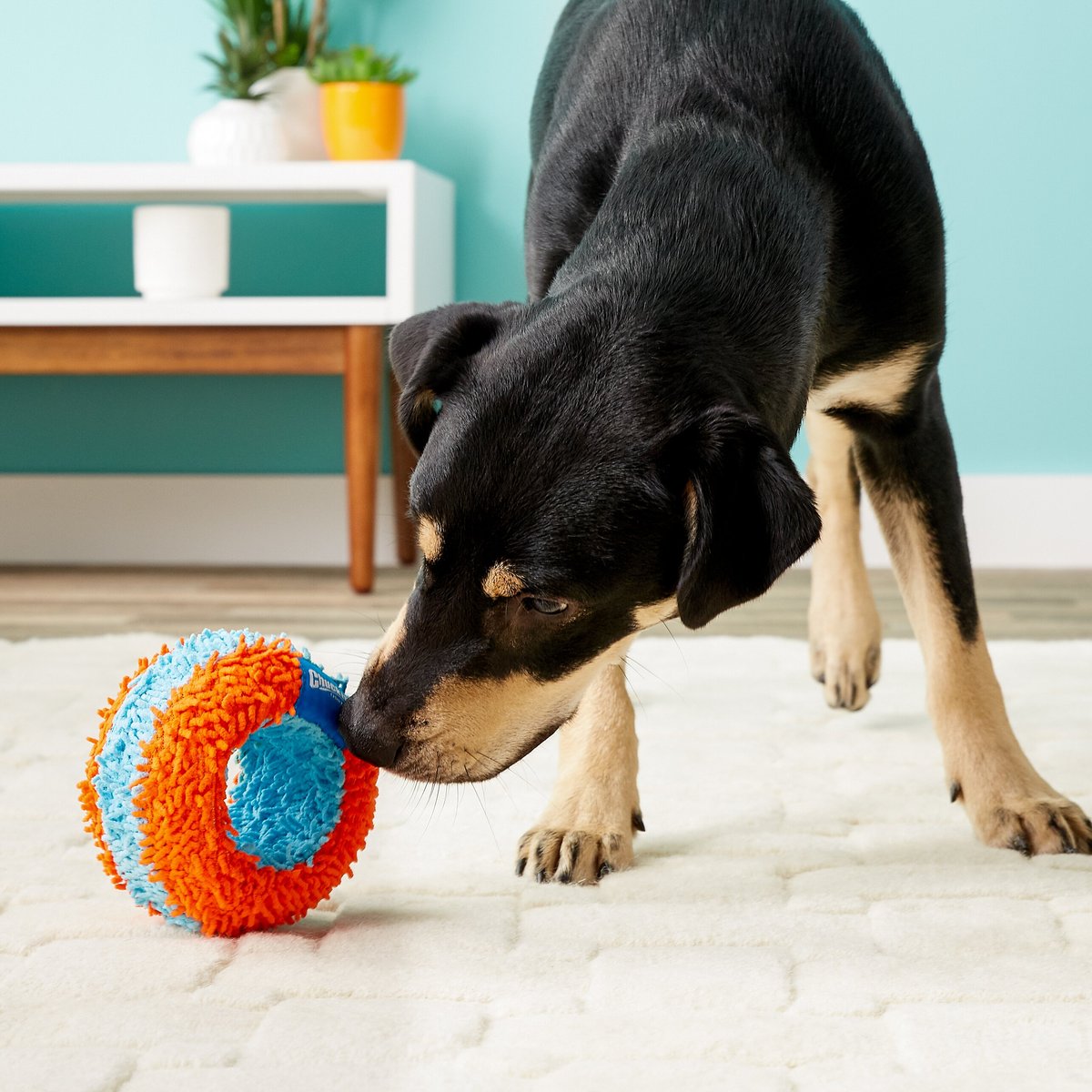 Chuckit! Indoor Roller Dog Toy