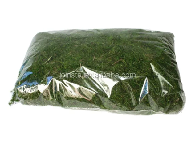 natural real moss fiber for fairy garden supplies