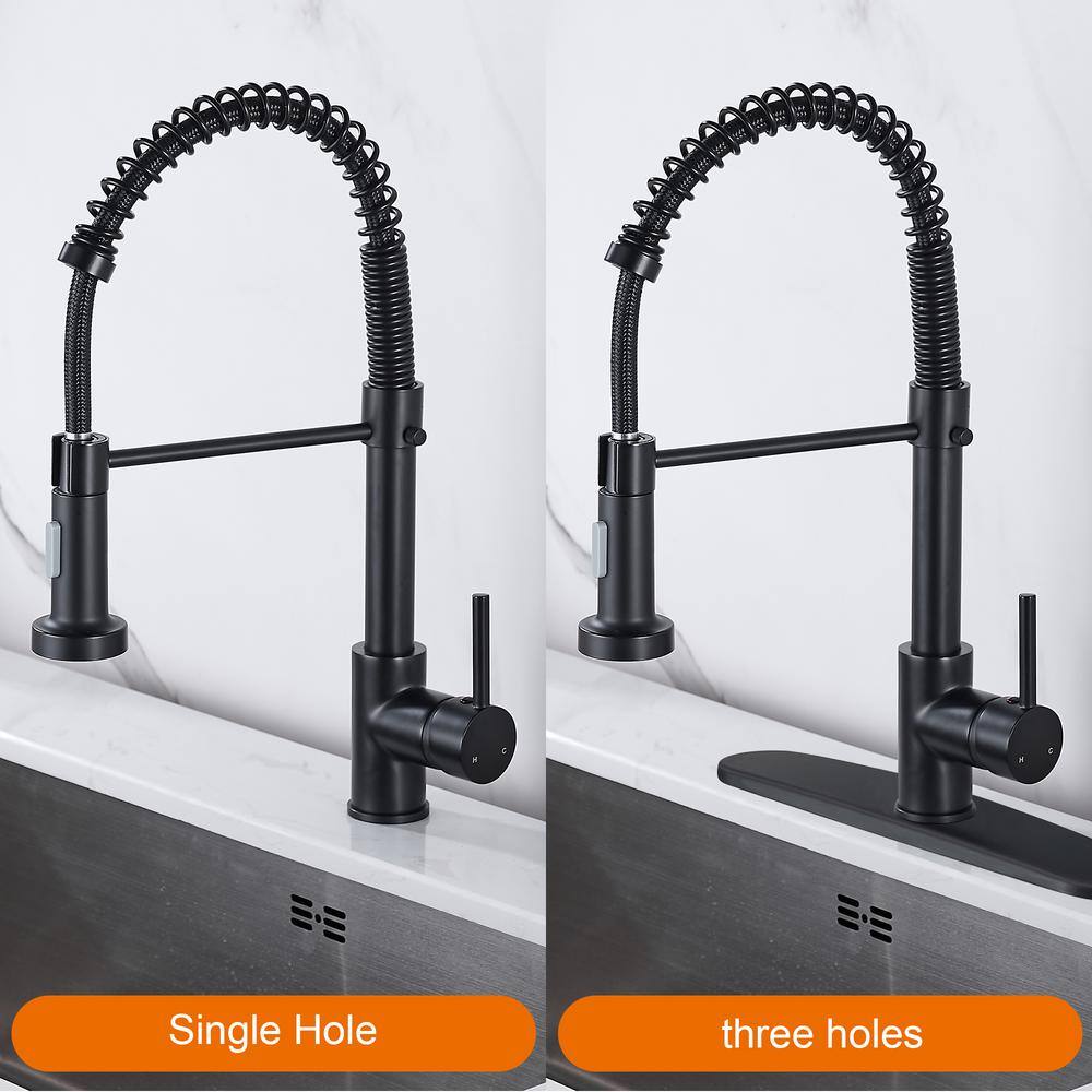 Zalerock Springs Single-Handle Pull-Down Sprayer Kitchen Faucet with Deckplate Included in Matte Black WC05T023