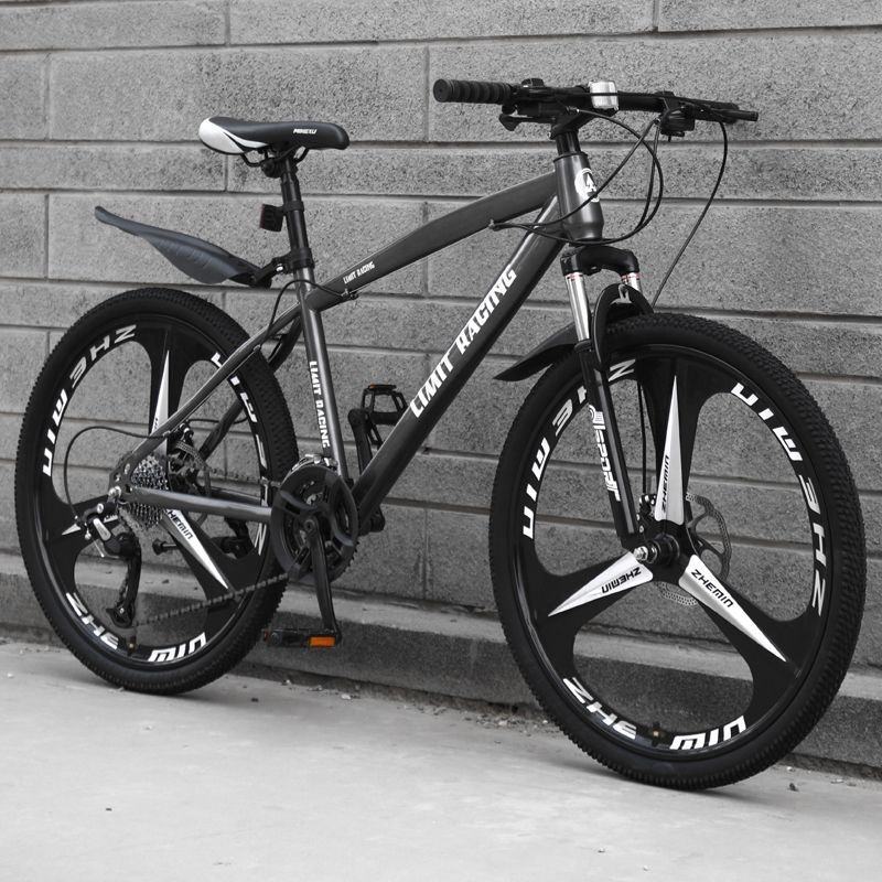 TOP sale vietnam supplier High quality Wholesale 21 speed customized cheap adult mountain bike 26/27/5/29 bicycle