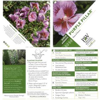 PROVEN WINNERS 2 Gal. Purple Pillar Rose of Sharon (Hibiscus) Plant with Purple Flowers 14762