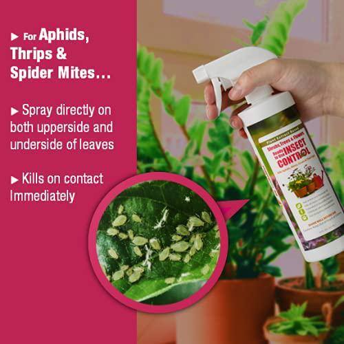 ECOVENGER Garden Insect Control by EcoRaider 16 oz. Aphids Mealybugs Spider Mites Army Worm ChildPet-Safe EV1GM140016