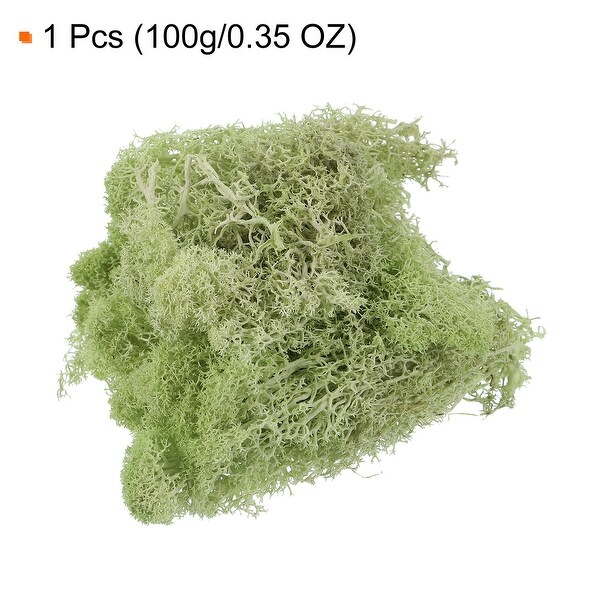 3.5OZ Moss Preserved Moss Artificial Moss for DIY Floral Project Decor