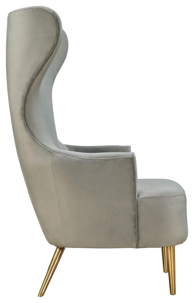 Julia Velvet Wingback Chair   Midcentury   Armchairs And Accent Chairs   by TOV Furniture  Houzz