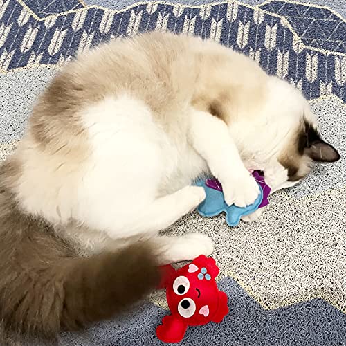 4 Pack Cat Kitten Catnip Toys Felt Catnip Interactive for Indoor