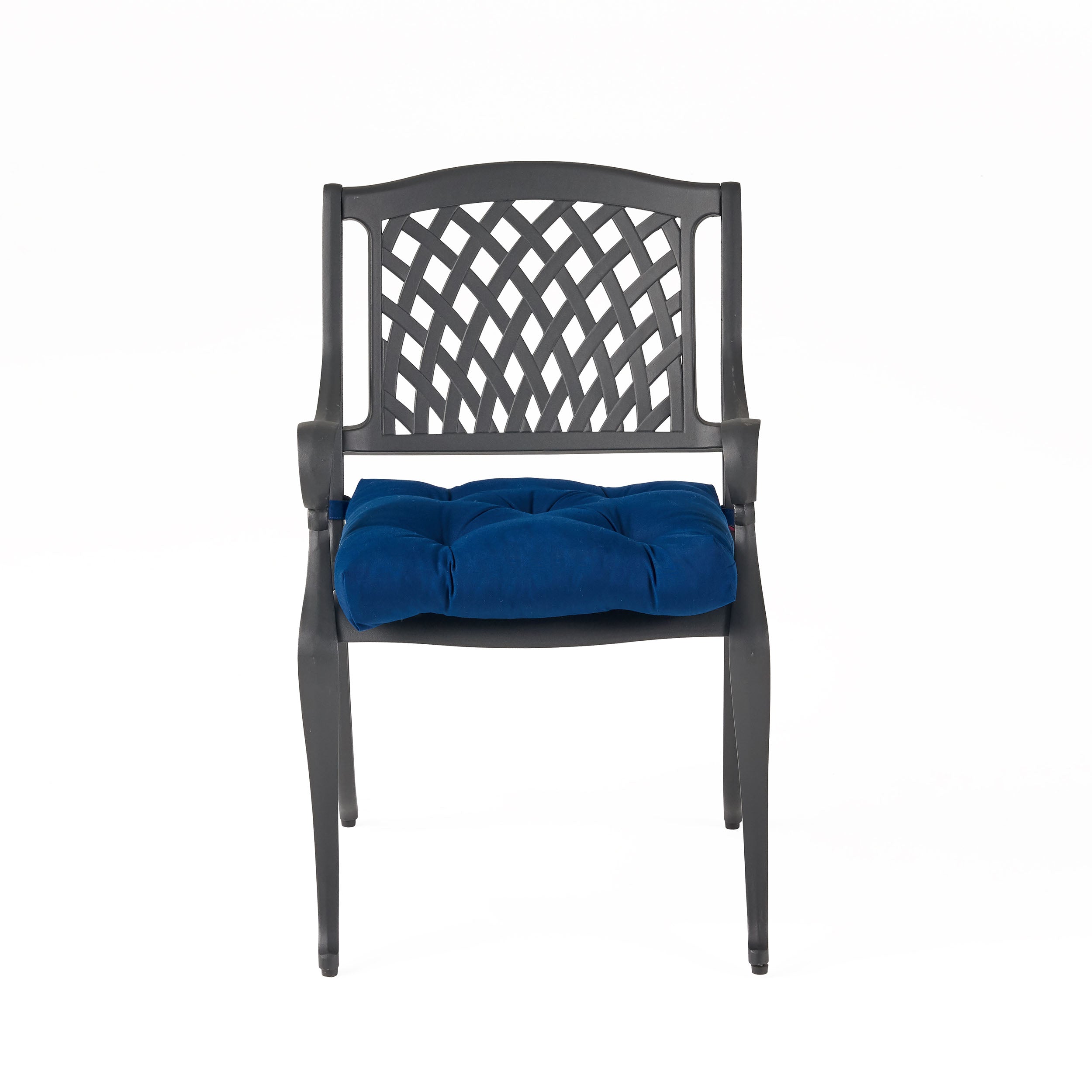 Allee Outdoor Dining Chair with Cushion (Set of 2)