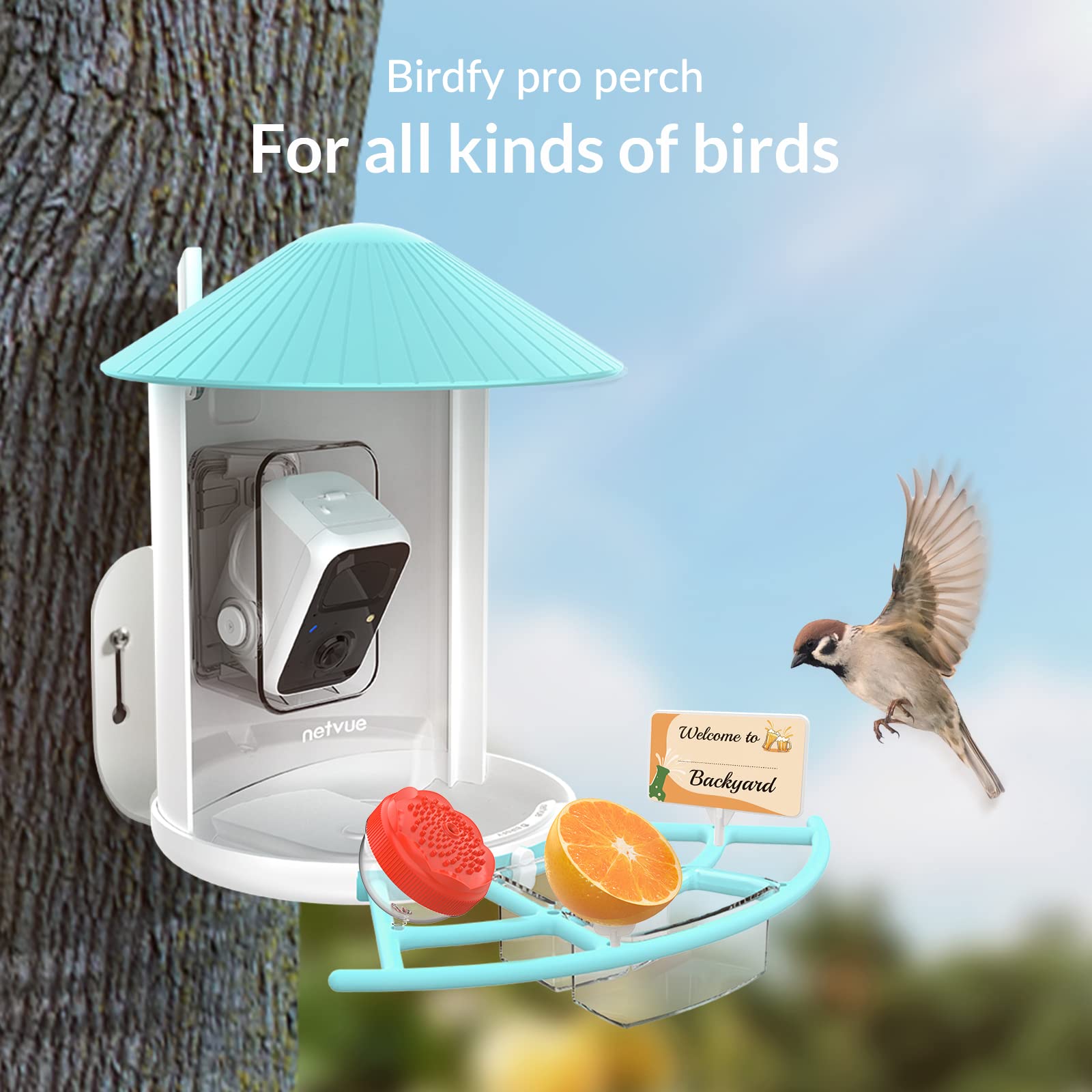 Bird Feeders with Camera， Netvue Birdfy Lite Pro Bird Feeder with Wider Perch DIY Add-ons Hummingbird Feeder Suet Ball Jelly Feeder for All Birds， Ideal Bird Watching Gift for Mother's Day