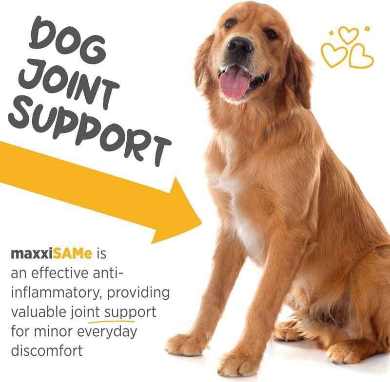 maxxipaws MaxxiSAMe SAM-e Supplement for Dogs