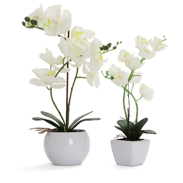 White Artificial Orchid