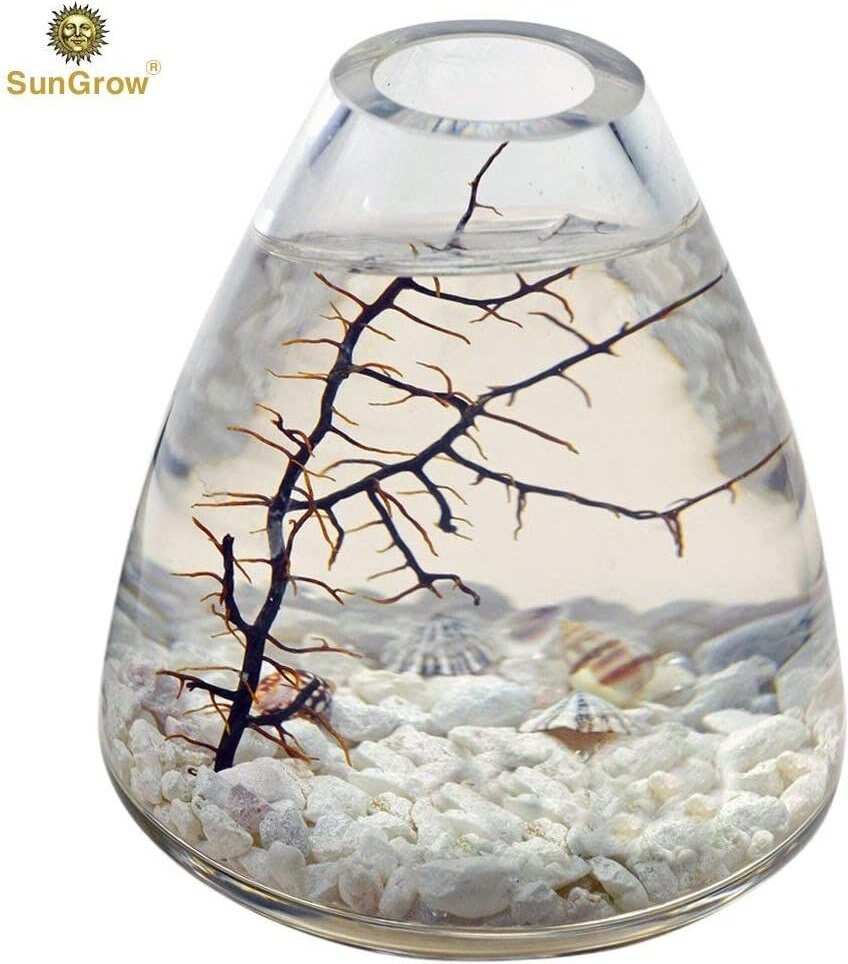 SunGrow Betta Fish Sea Fan Decoration Aquarium Ornament Accessories for Small Tank