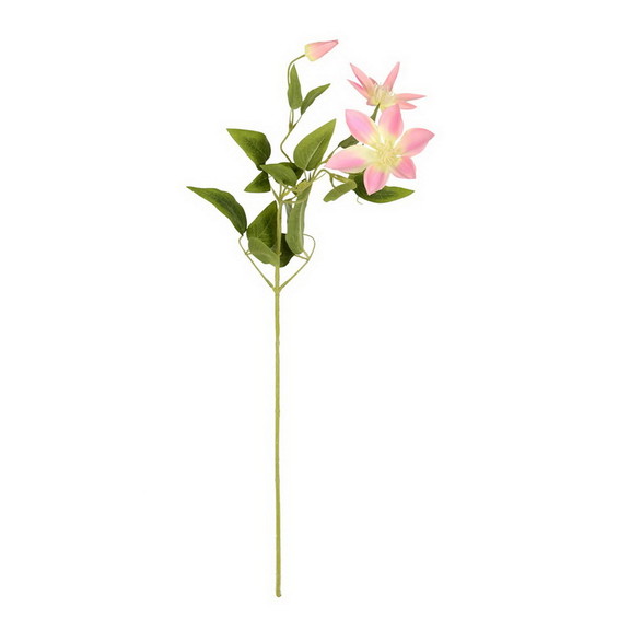 Vickerman 25 Clematis Stem 6/Pk