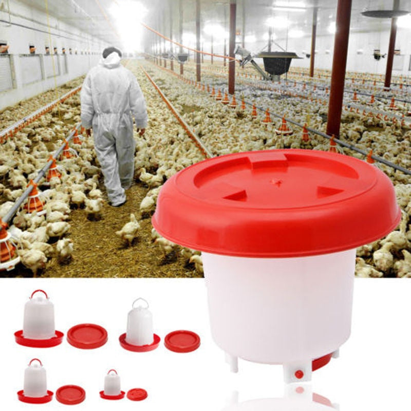 Carolilly 1.5/2.5/4 L Chicken/Poultry/Chick/Hen FoodWater Feeder Drinker Accesories Fill Robust Plastic Chicken Quail Poultry