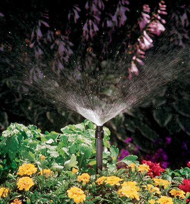 Orbit Shrub and Plant Sprinkler Head 90 Degree 1/2 Spray， Water Flower Beds， 54010