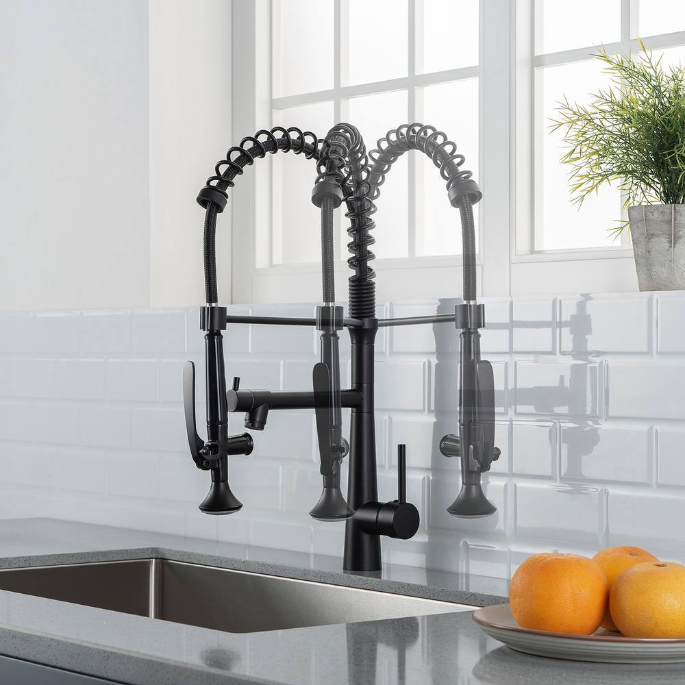 Boyel Living Single-Handle Gooseneck Pull-Down Sprayer Kitchen Faucet with Pot Filler and Water Supply Lines in Matte Black BM2010B