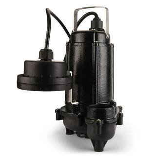 ECO FLO 13 HP WiFi Enabled Sump Pump System EFWIFI33