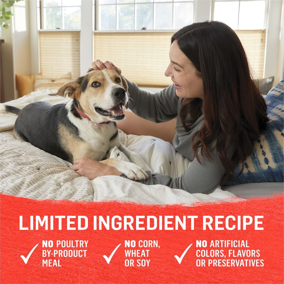 Purina Beyond Natural Grain-Free Beef Potato and Green Bean Recipe Ground Entree Wet Dog Food