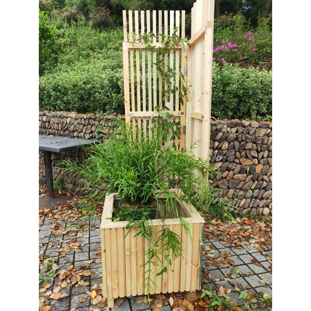 70in x 20in x 20in Wooden Cafe Barrier Planter with Trellis   1 Set