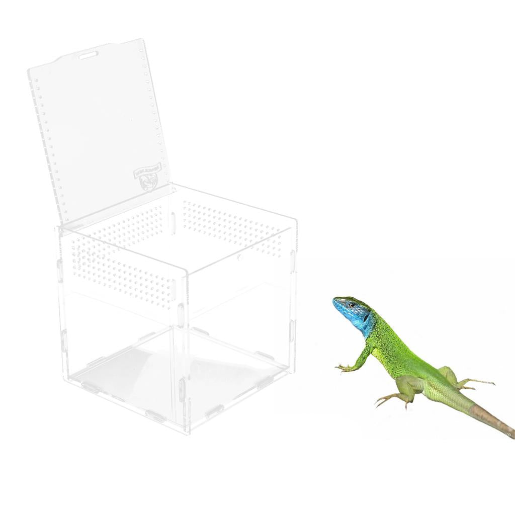 Transparent Acrylic Aquarium Fish Tank Reptile Lizaed Spider Tank Breeding Box Terrarium Habitat 15x15x15cm 1