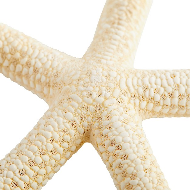 Juvale 12 Pack White Finger Starfish For Nautical D cor Vase Filler Craft Supplies 4 To 6 In