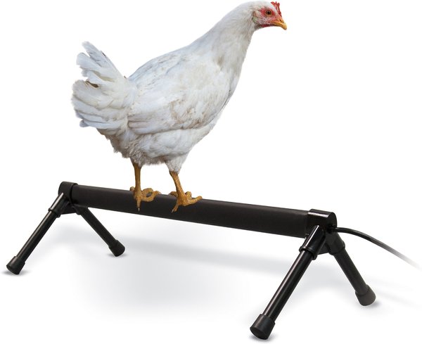 KandH Pet Products Thermo Chicken Perch， Black