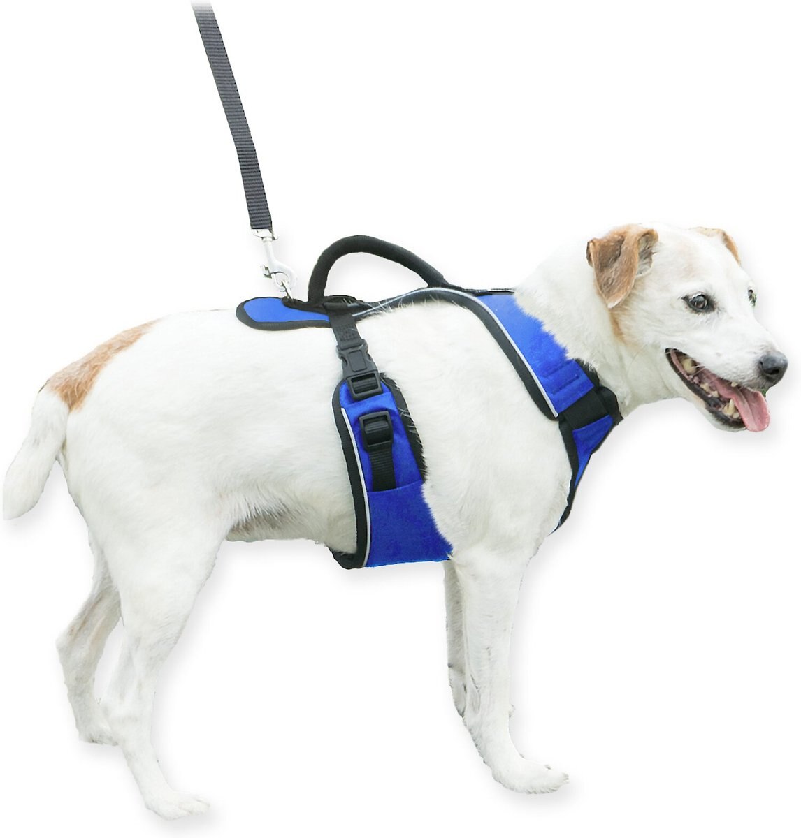 PetSafe EasySport Nylon Reflective Back Clip Dog Harness