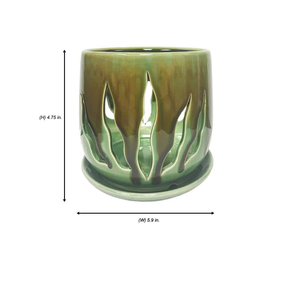 Better-Gro 5 in. Green Ceramic Lilly Design Orchid Pot Twin Pack 54026