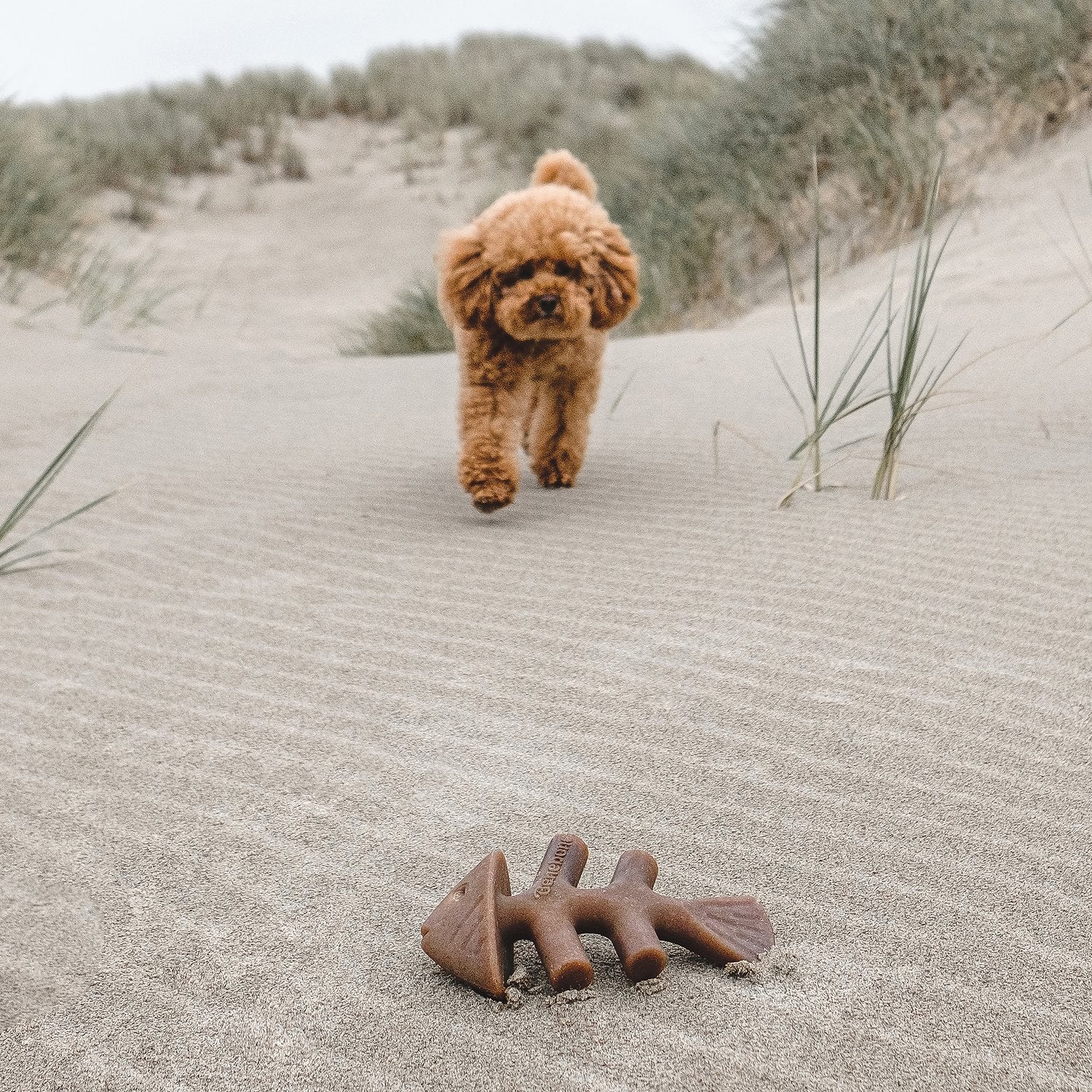 Benebone Salmon Flavored Fishbone Dog Chew Toy