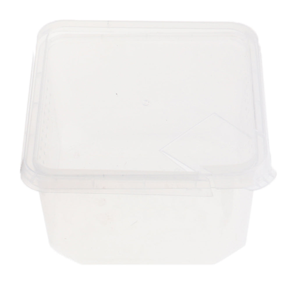 Spider Habitat Feeding Breeding Box Case Container 12x12x7cm