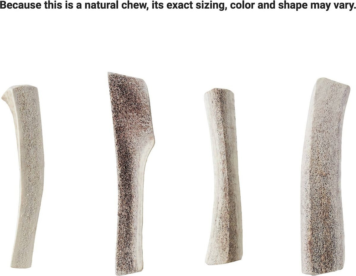 Bones and Chews Made in USA Elk Antler Split Dog Chew