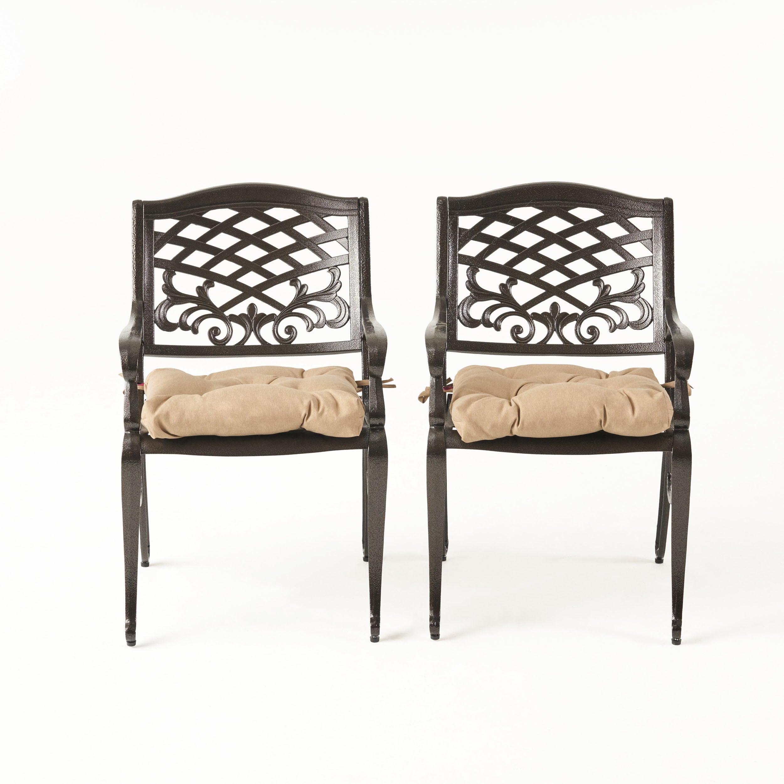 Laura Outdoor Dining Chair with Cushion (Set of 2)