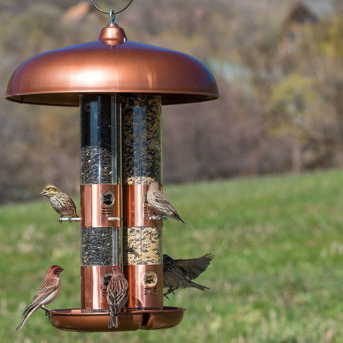 Perky-Pet 10 lb Copper Finish Triple Tube Bird Feeder