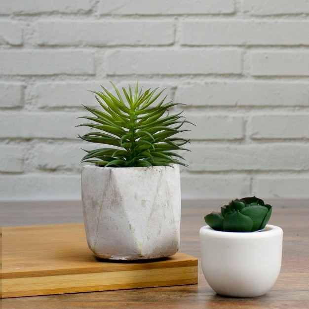 Potted Artificial Succulent In Cement Pot