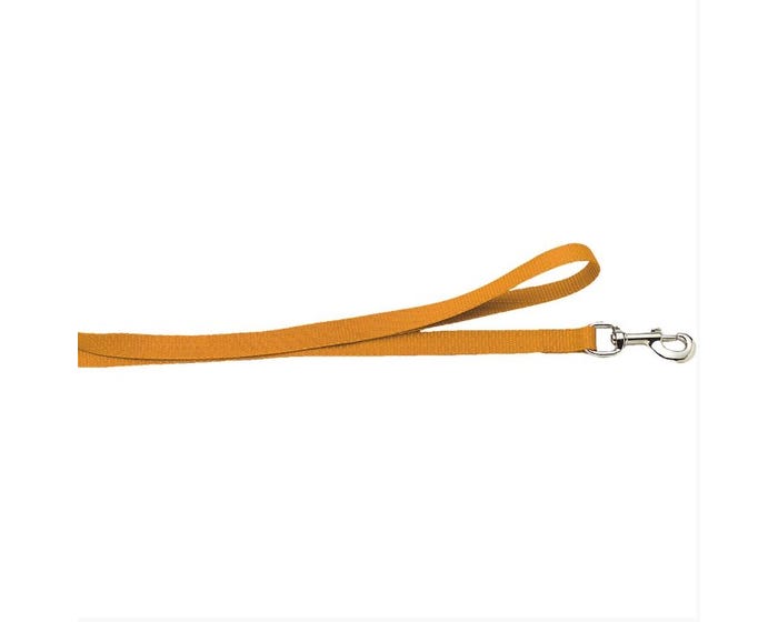 Scott Pet 5/8 inch Lead - 2165HO48