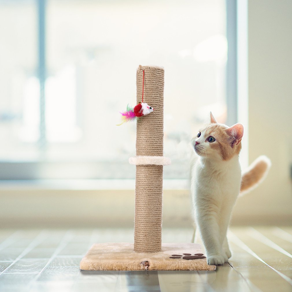 Cat Toy  Cat Crawling Stand Cat Tree Anti-scratching Tree For Indoor Cats