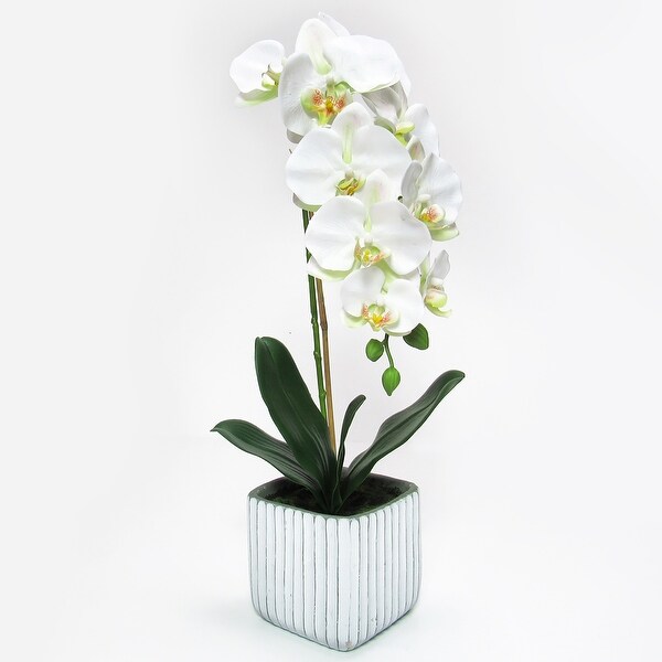 Cream White Artificial Phalaenopsis Orchid Flower Arrangement in Square Embossed Stripe Ceramic Pot 23in