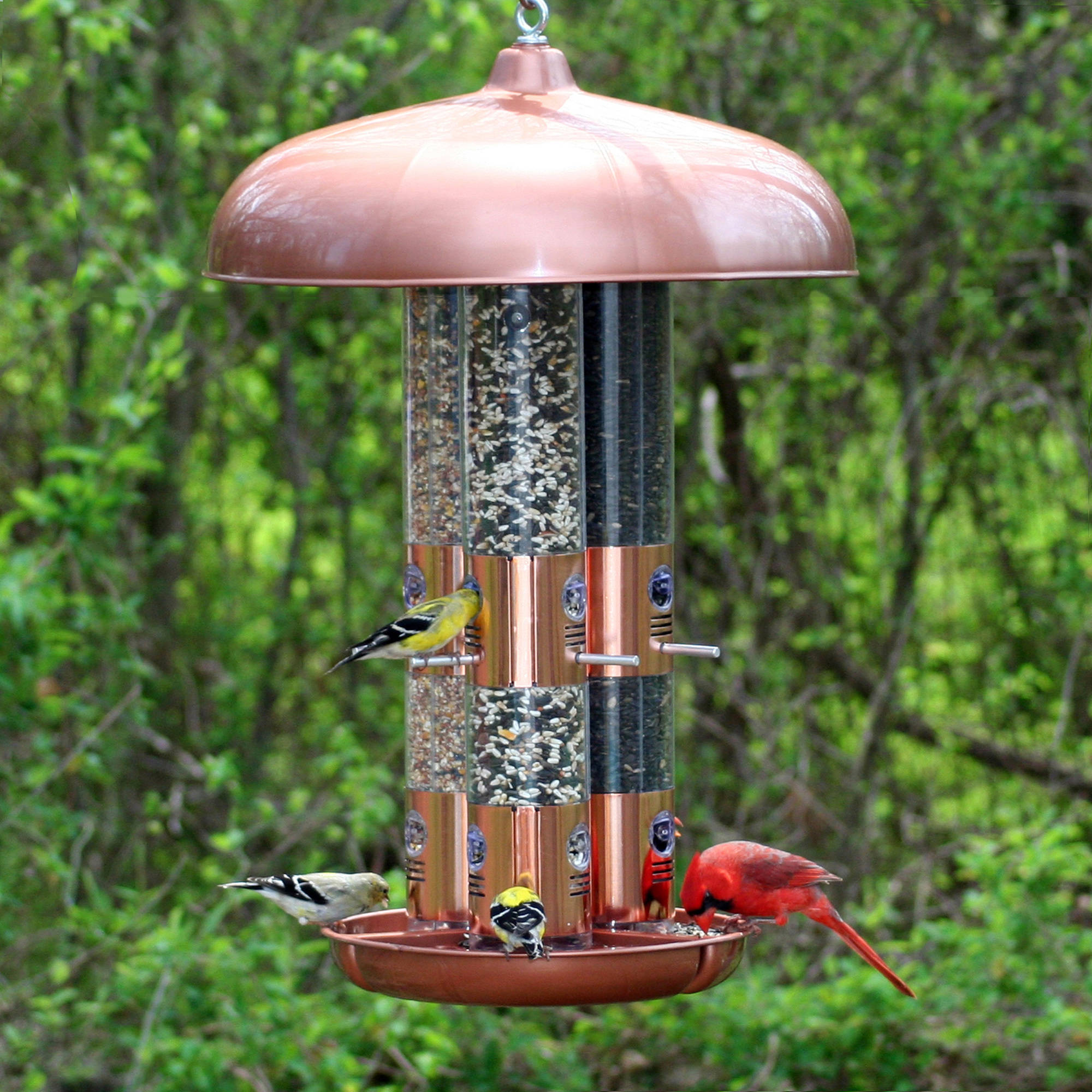 Perky-Pet 10 lb Copper Finish Triple Tube Bird Feeder